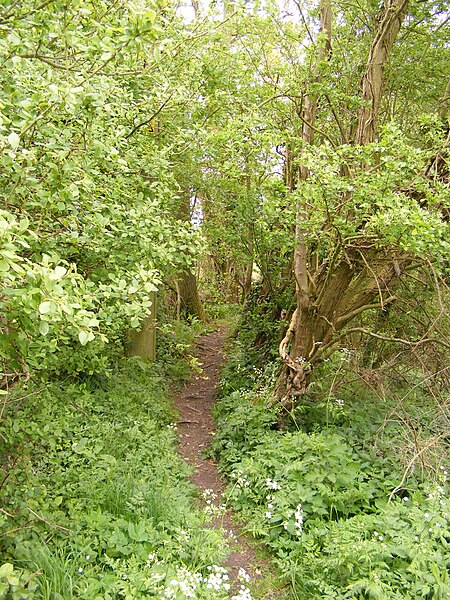 File:Footpath to Hall Road - geograph.org.uk - 3465182.jpg