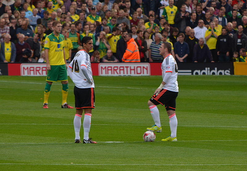 File:Fulham v Norwich City (2014) (15552521526).jpg