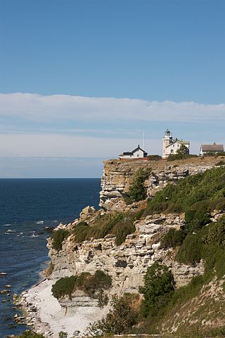 <span class="mw-page-title-main">Stora Karlsö</span> Nature reserve in Gotland, Sweden