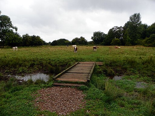 GOC Radwell-Rivers and Meadows 004 Footbridge (9815138636)