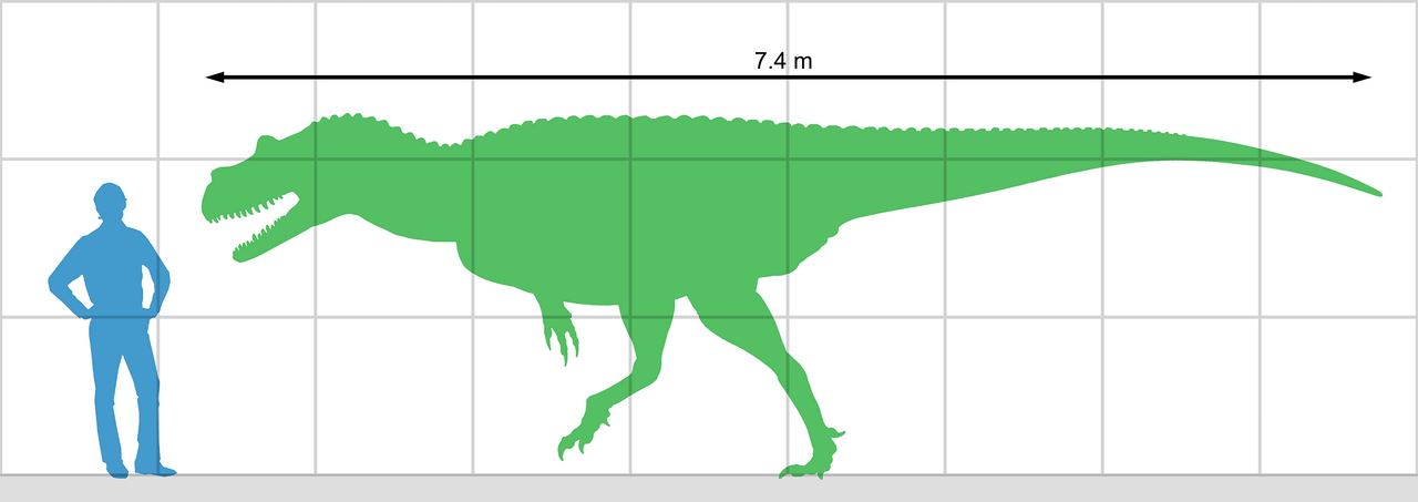 File:Tyrannosaurus Rex colored.png - Wikipedia