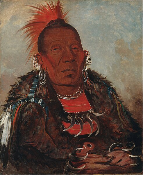 george catlin - image 3