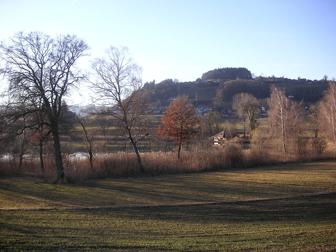 Gerzensee