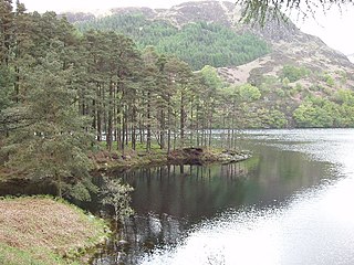 <span class="mw-page-title-main">Loch Trool</span> A lake in Dumfries and Galloway, Scotland