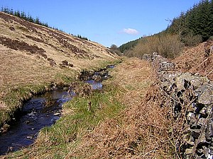 The Gowkstane Burn Forest of Ae Gowkstane Burn, Forest of Ae - geograph.org.uk - 160264.jpg