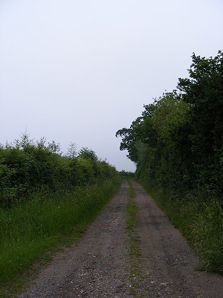 File:Green Lane footpath to Southwell Lane - geograph.org.uk - 3522133.jpg