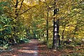 * Nomination Forest path in the fall, Germany --Harke 18:38, 22 October 2014 (UTC) * Promotion Decent quality. --Yerpo 06:27, 25 October 2014 (UTC)