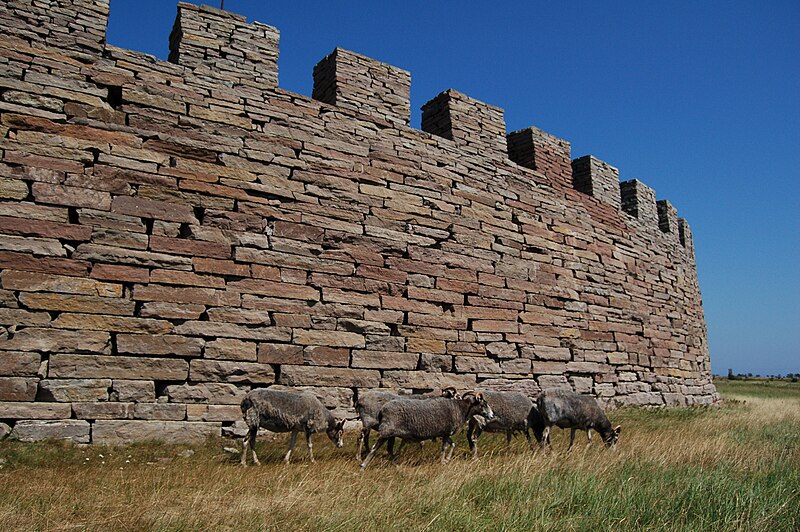 Gute sheep in Eketorp Slott.jpg