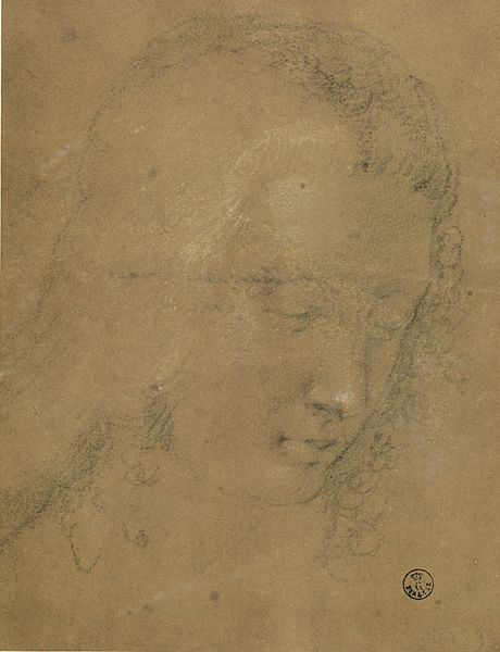 File:Head of a Youth by Plautilla Nelli.jpg