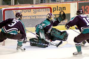 empty net points nhl