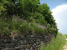 2016 dry stone wall