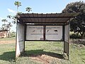 Humedal de Mabamba (Uganda) - zona junto al embarcadero 20190915 095810.jpg