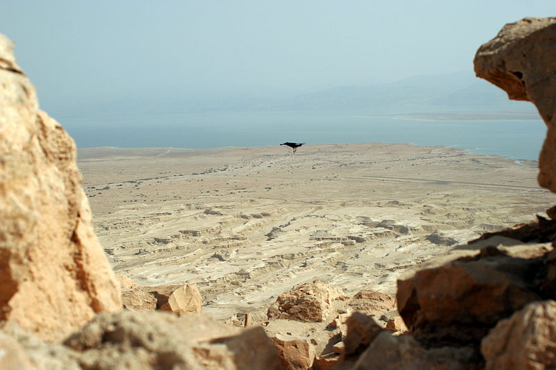 File:Israel, Masada (5164855455).jpg