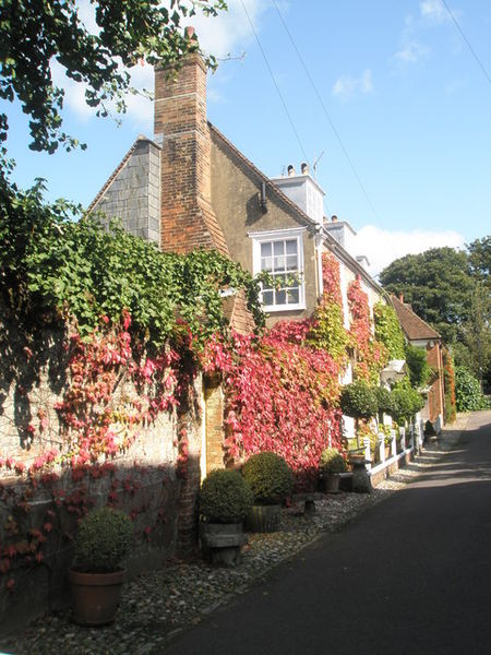 File:Ivy clad house in St Peter's Street - geograph.org.uk - 1483072.jpg