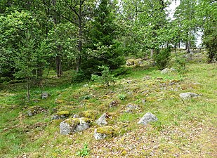 Järnåldersgravfält (RAÄ-nummer Salem 224-1, Bergaholm (1).jpg
