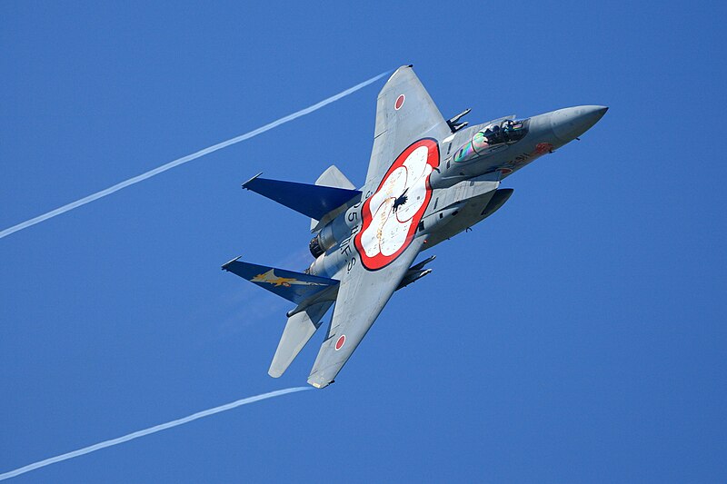 File:Japan air self defense force Mitsubishi F-15J 305SQ 20th anniv. RJAH.jpg