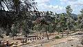 Jerusalem March 2014 (15549159381).jpg