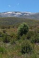 Sierra de Gredos