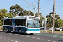 Kastoria bus on Mount Alexander Road on route 476, 2013.JPG