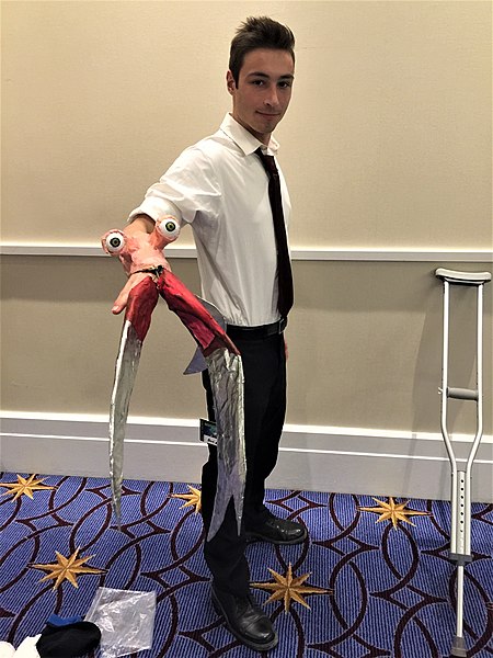 File:Katsucon 2017-02-18 18.57.36 (32880788401).jpg