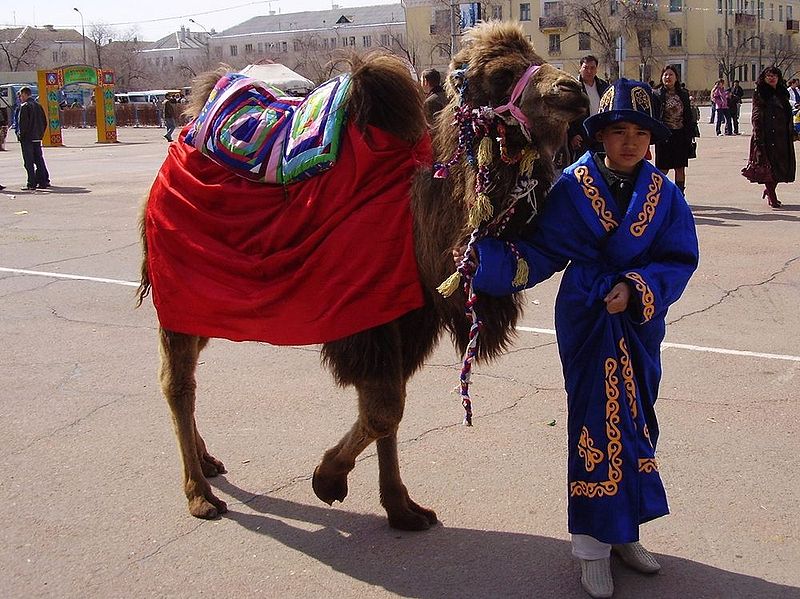 File:Kazakh boy with a small camel. Baikonur-city, march 2007.JPG