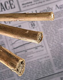 Dried kenaf stems Kenaf.jpg