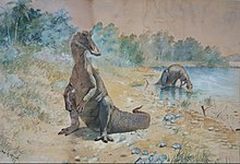 Early restoration by Charles R. Knight of hadrosaurs as semi-aquatic animals that could only chew soft water plants, a popular idea at the time which is now outdated Knight hadrosaurs.jpg