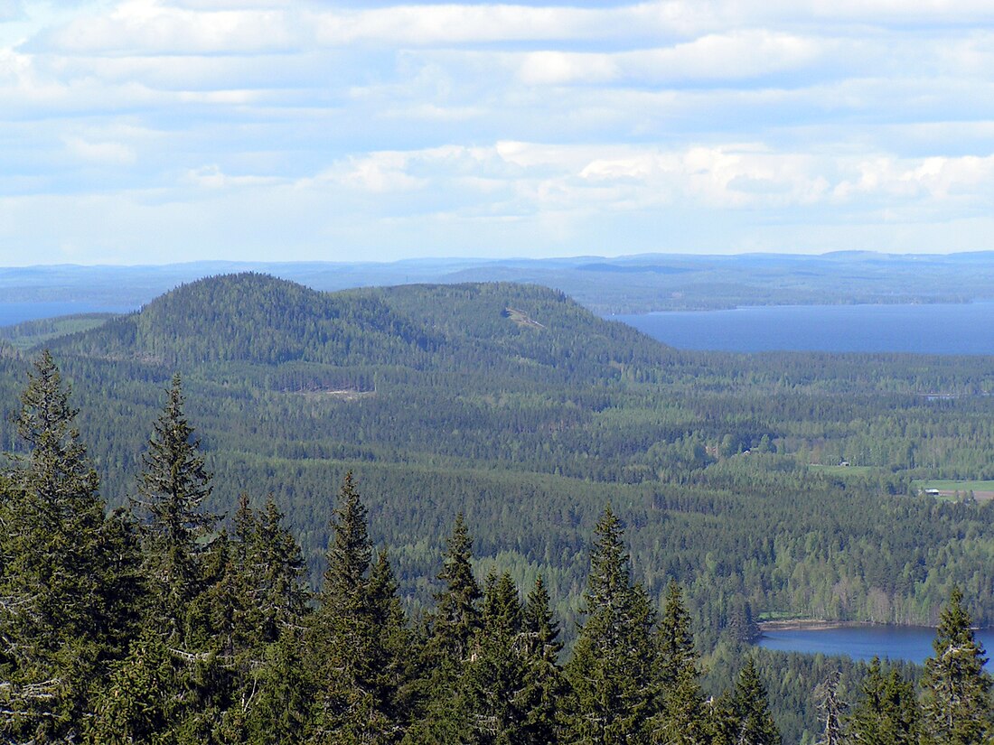 Koli Nationalpark