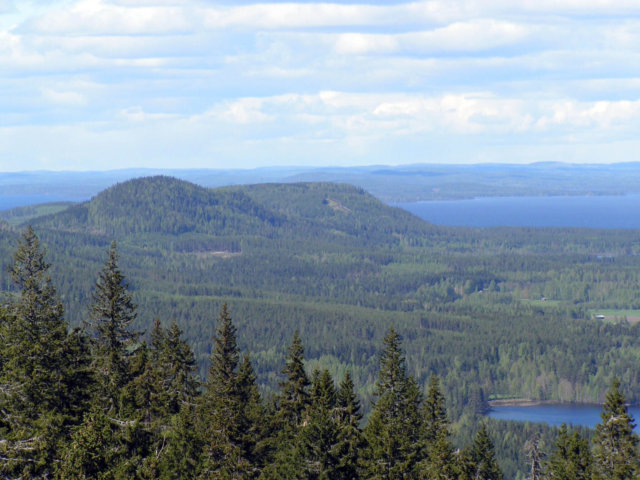 Koli National Park Map North Karelia Finland Mapcarta