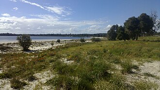 Lake Gnangara in spring 2012 Lake Gnangara.jpg