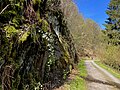 Wuppersteilhang beim Klärwerk Burg