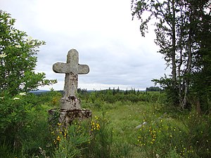 Le Rialet (Tarn, Fr) une croix en forêt.JPG