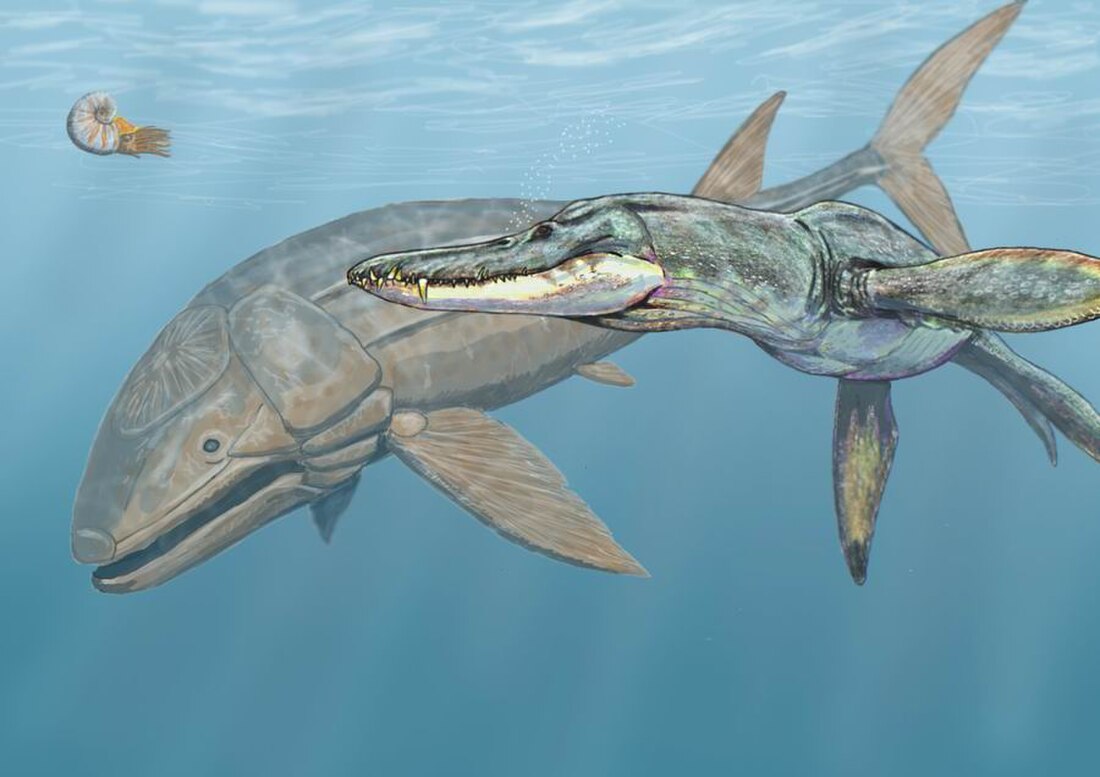 Liopleurodon