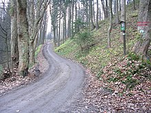 Forest road in North Bohemia Liberec-Hluboka, U Lomu.jpg