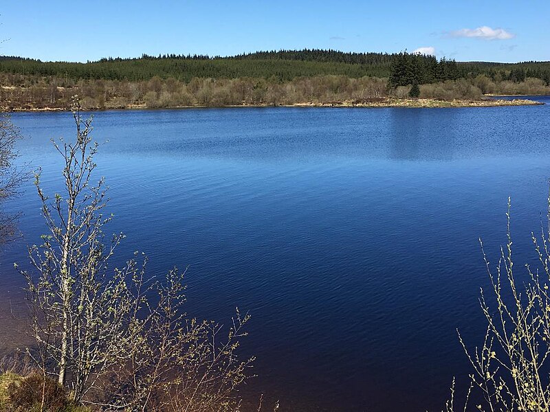 File:Llyn Brenig - geograph.org.uk - 5762891.jpg