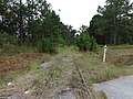 Looking East from RR crossing on road to Coca-Cola Bottling