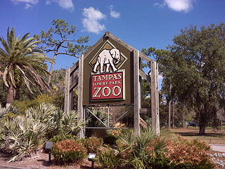 ZooTampa at Lowry Park is a 63-acre (25 ha) nonprofit zoo located in Tampa, Florida. In 2009, Lowry Park Zoo was voted the #1 Family Friendly Zoo in the US by Parents Magazine, and is recognized by the State of Florida as the center for Florida wildlife conservation and biodiversity. The zoo is operated by the Lowry Park Zoological Society, an independent 501(c)(3) charitable organization. The zoo also exists as a center for conservation of endangered wildlife both locally and around the globe. Tampa’s Lowry Park Zoo is accredited by the Association of Zoos and Aquariums (AZA) as well as a member of the World Association of Zoos and Aquariums (WAZA), Conservation Breeding Specialist Group (CBSG), the Florida Association of Zoos and Aquariums (FAZA) and the Florida Attractions Association (FAA).