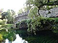 Le pont médiéval.