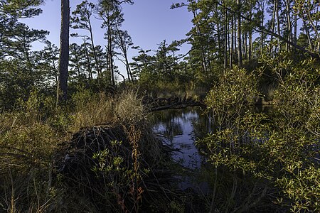 Mackay Island Wildlife Refuge