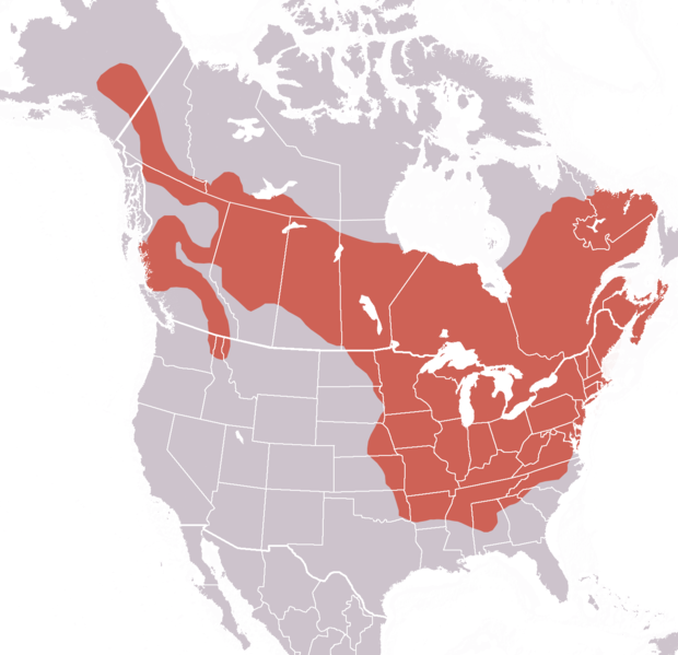 File:Marmota monax range.png