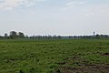 Meadow in Rangsdorf 2021-05-11 05.jpg