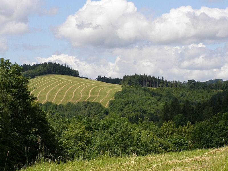 File:Metylovická pahorkatina, Na Magoni, V 01.jpg