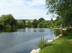 Millpond, Dorking, Surrey - geograph.org.uk - 1405478.jpg