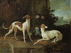 ציור מהמאה ה-18 מאת האמן ז'אן בטיסט של כלבי הויפט של מלך צרפת לואי ה-15 עשר - מיסה וטורלו