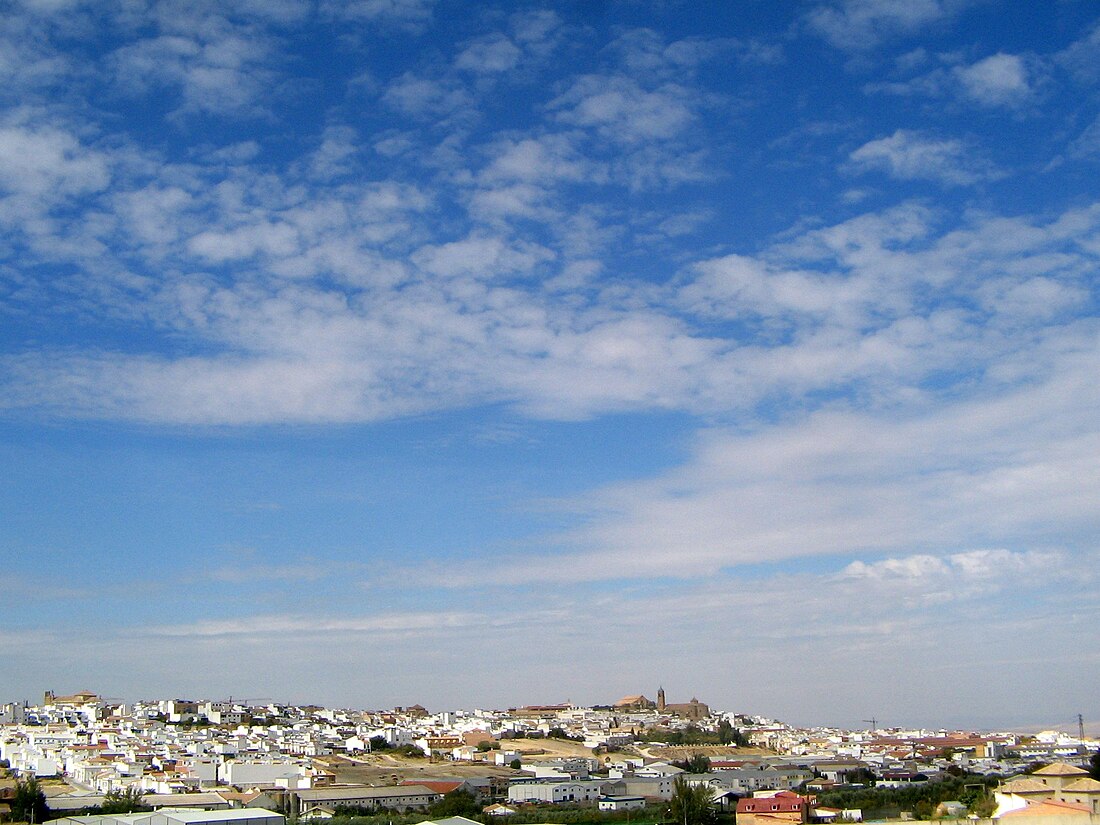 Montilla (Còrdova)