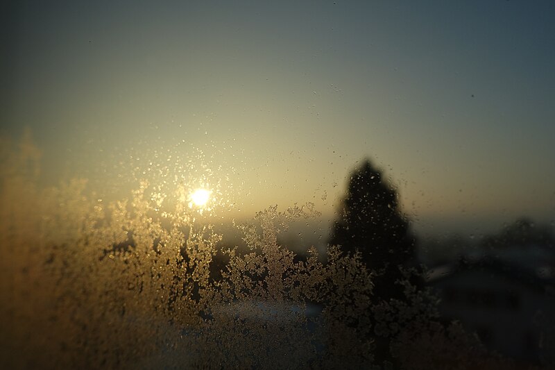 File:Morning Ice on Office Window (15971528114).jpg