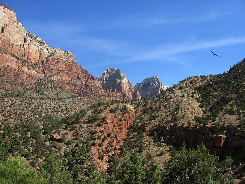 File:Mountains in Zion National Park, Utah.jpg