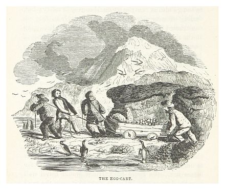 Illustration from John Nunn's book about the three years he and his shipwrecked crew survived on the island in the 1820s.