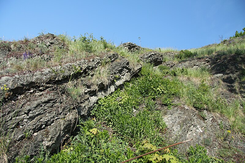 File:Natural monument Pod Zvahovem in 2011 (19).JPG