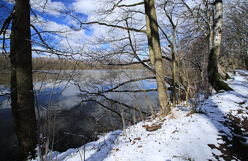 File:Naturschutzgebiet Höhlteich in Oelsnitz. Erzgebirgskreis. 2H1A8865WI.jpg